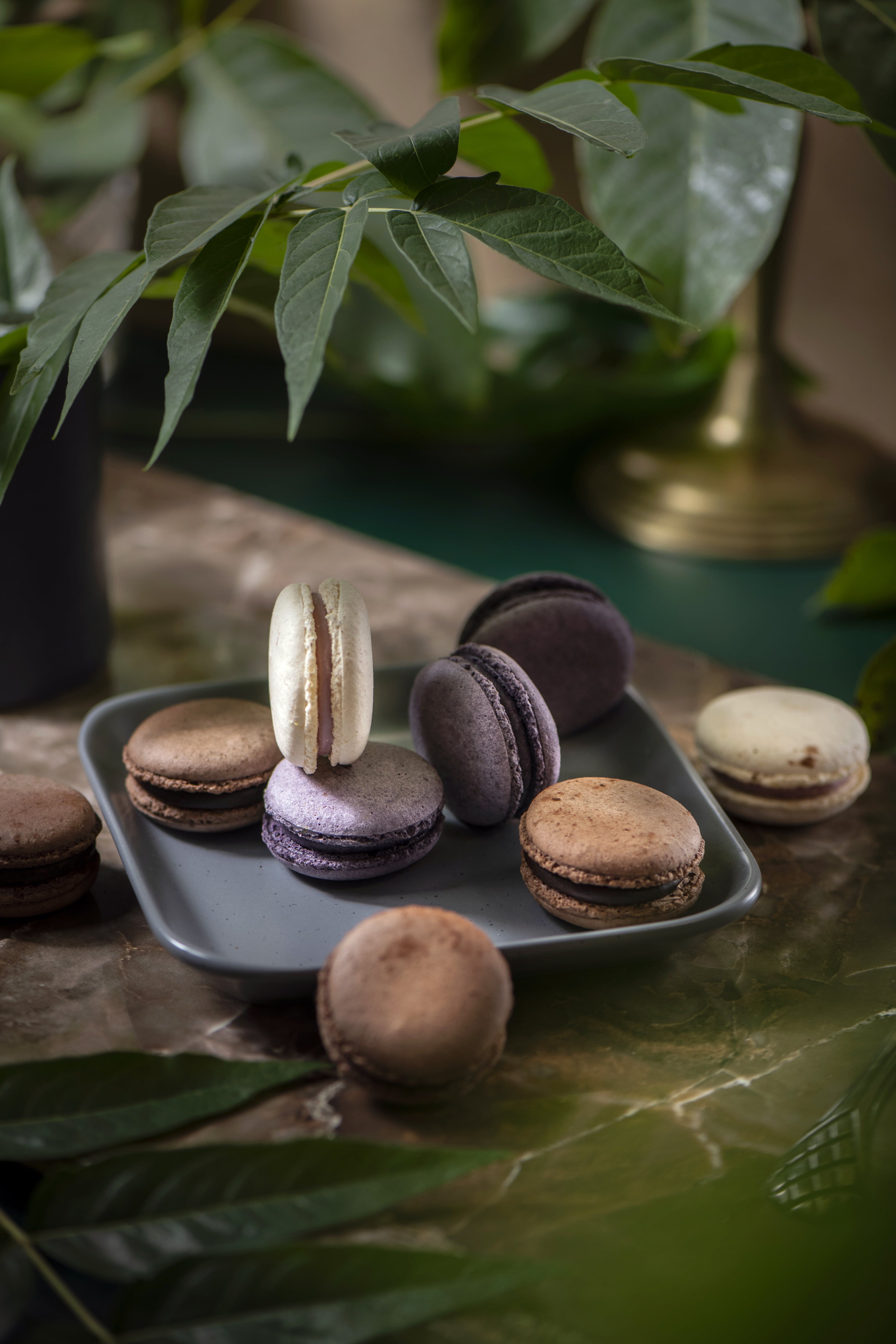 Premium French Macarons by B-macaron